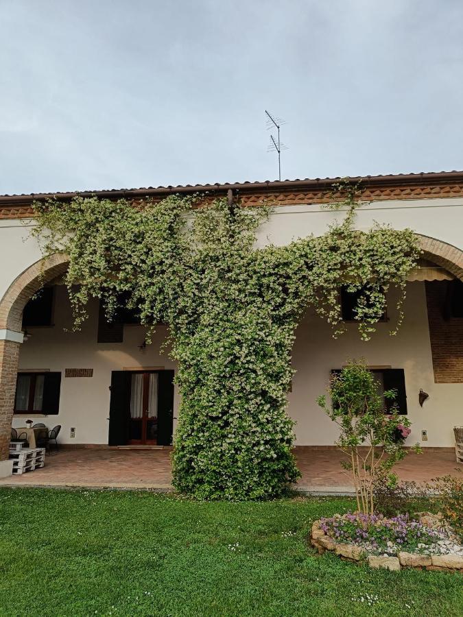 Agriturismo Villa Greggio Casalserugo Exterior foto
